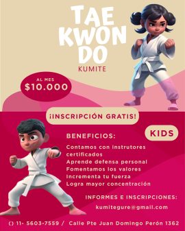 Flyer taekondo 3